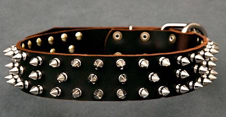 http://www.dog-leash-store.com/images/large/3-rows-spiked-dog-collar-leather-dog-dog_LRG.jpg