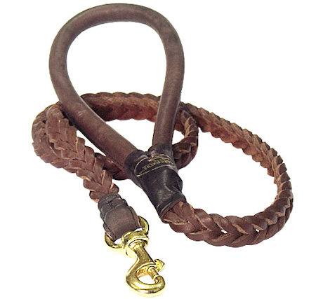 big dog collars and leashes