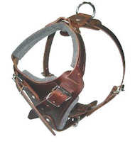 dog harness