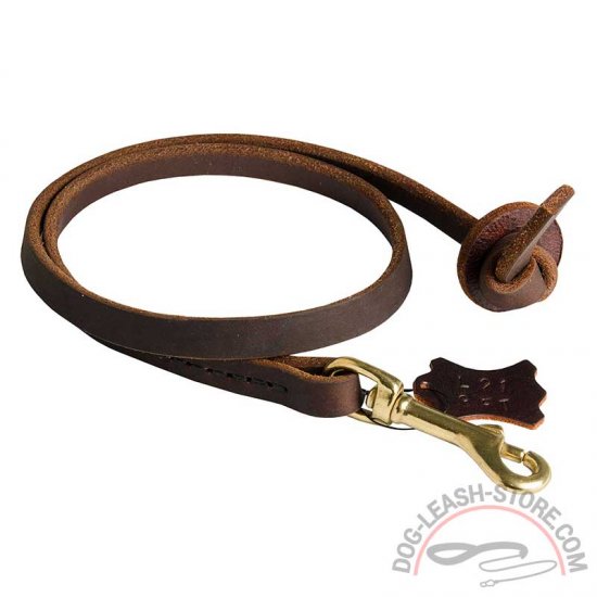 Pocket Size Training Dog Leash