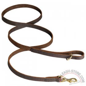 Carefully Stitched Leather Dog Leash Carefully Stitched Leather Dog Leash