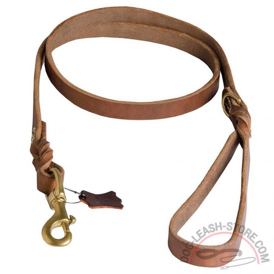 Get Multifunctional Braided Leather Dog Leash | Brass Hardware