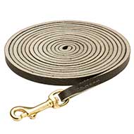 Training, Tracking Leather Dog Lead For Your Active Pet Training, Tracking Leather Dog Lead For Your Active Pet