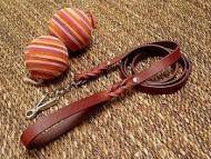 leather designer dog leash